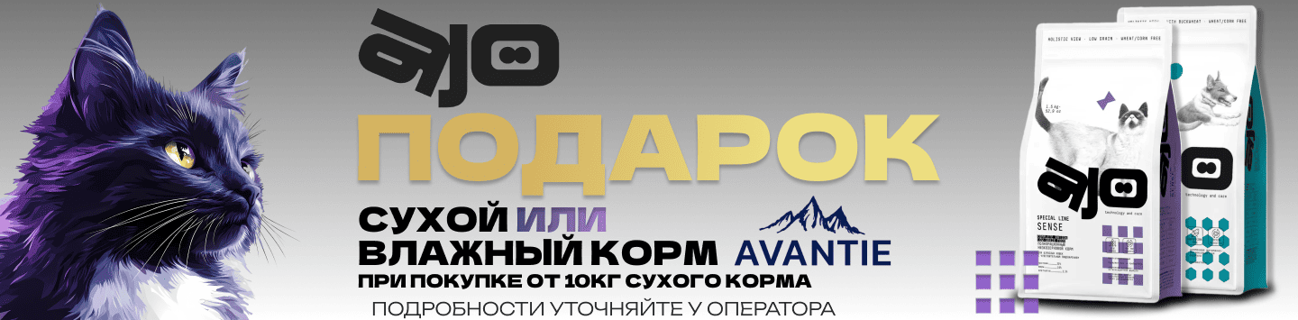айо в подарок аванти