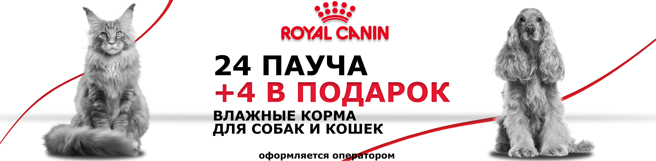 роял канин 24+4