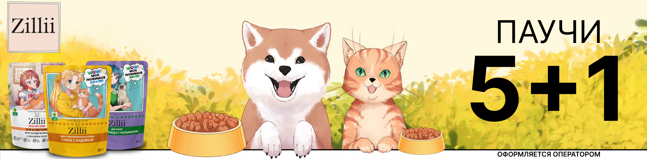 зилли 5+1