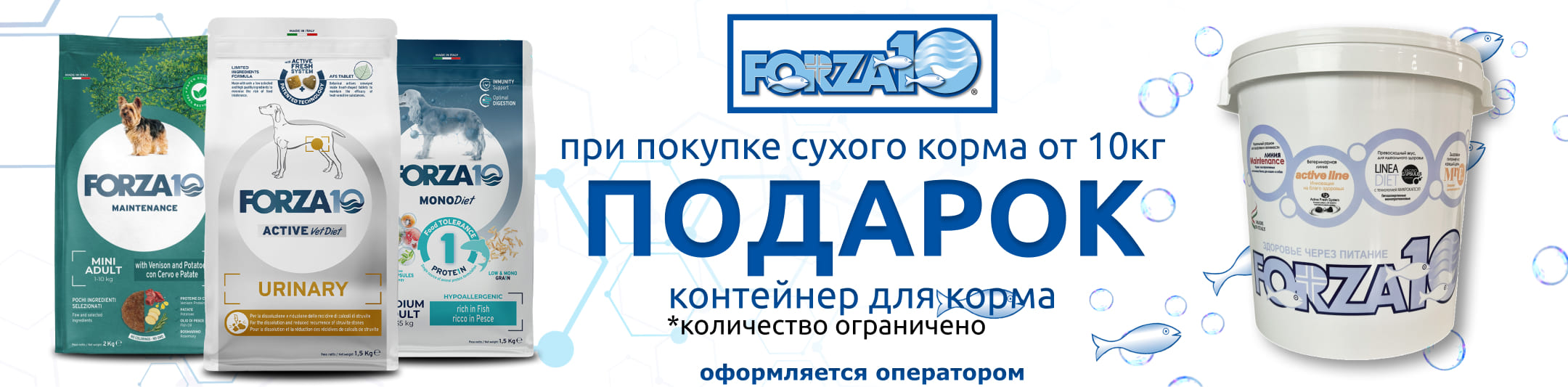 форза бак в подарок