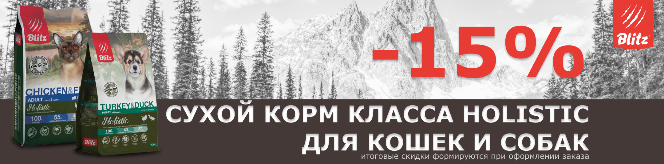 блиц