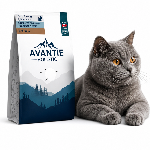 Avantie