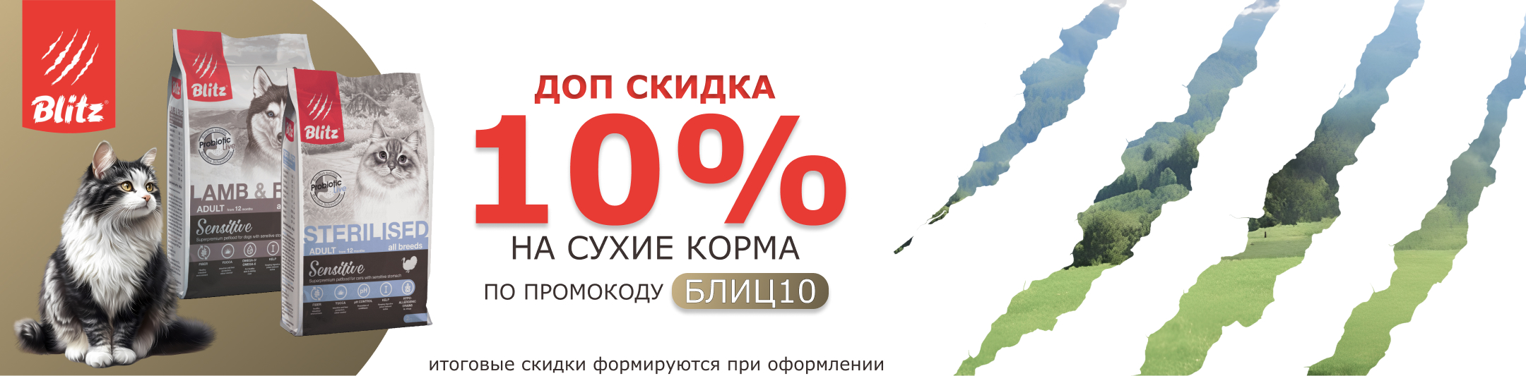 блиц сухой по промокоду 10%