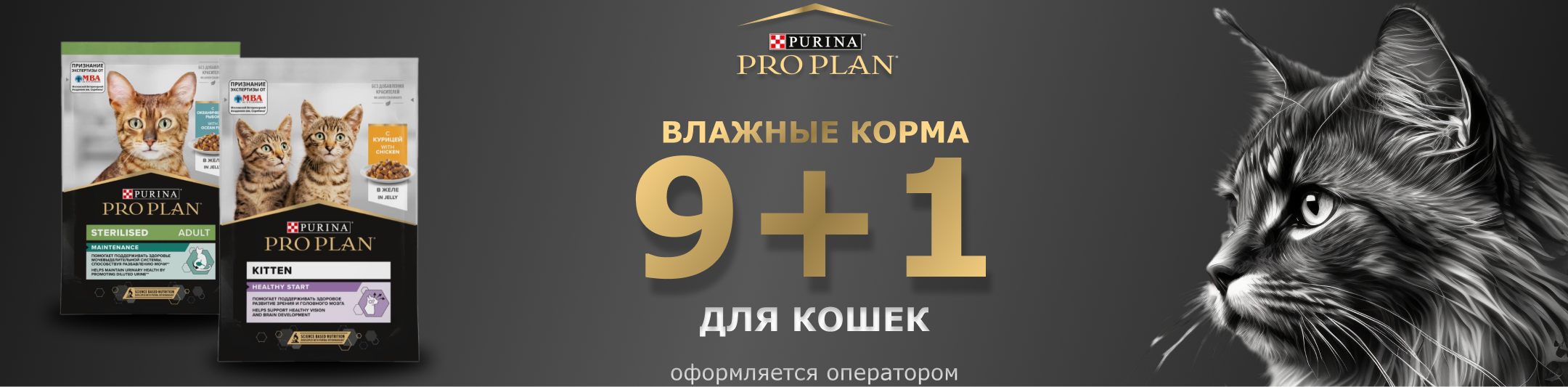 проплан паучи