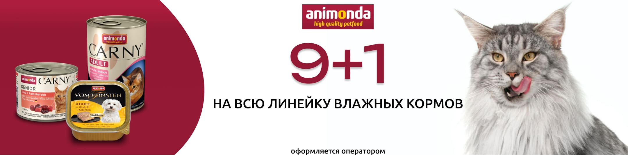 анимонда