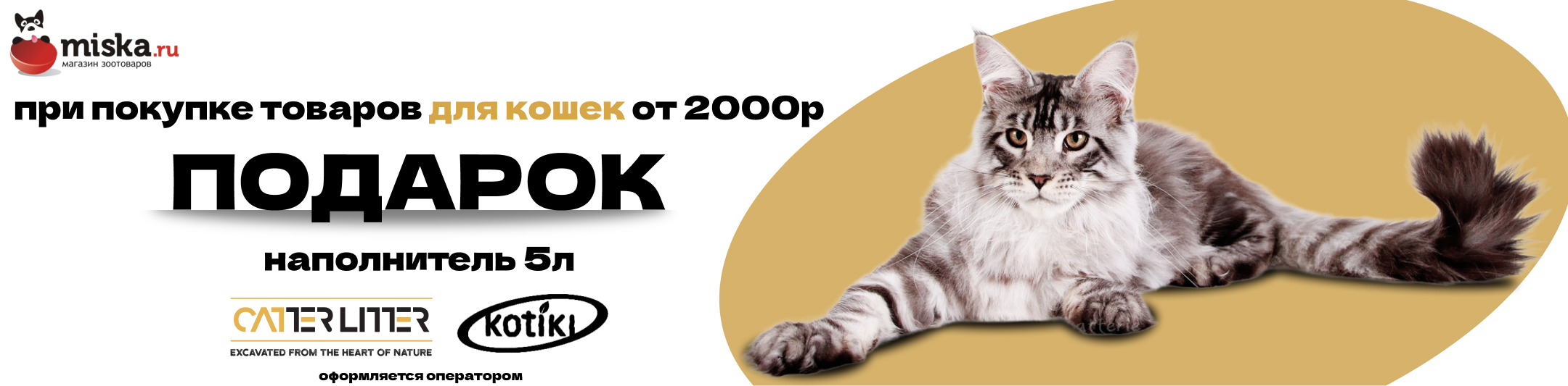 подарок наполнитель 5л