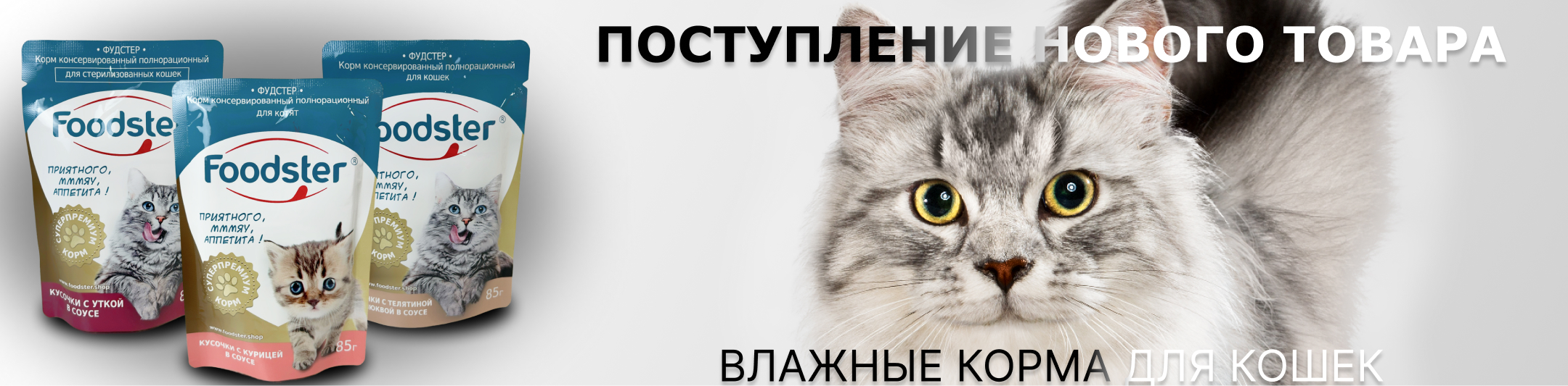 Foodster фудстер