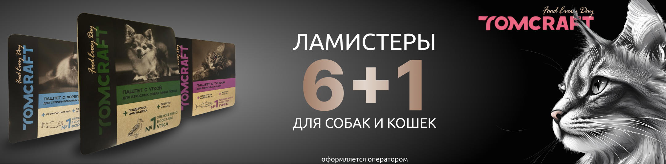 томкрафт 6+1