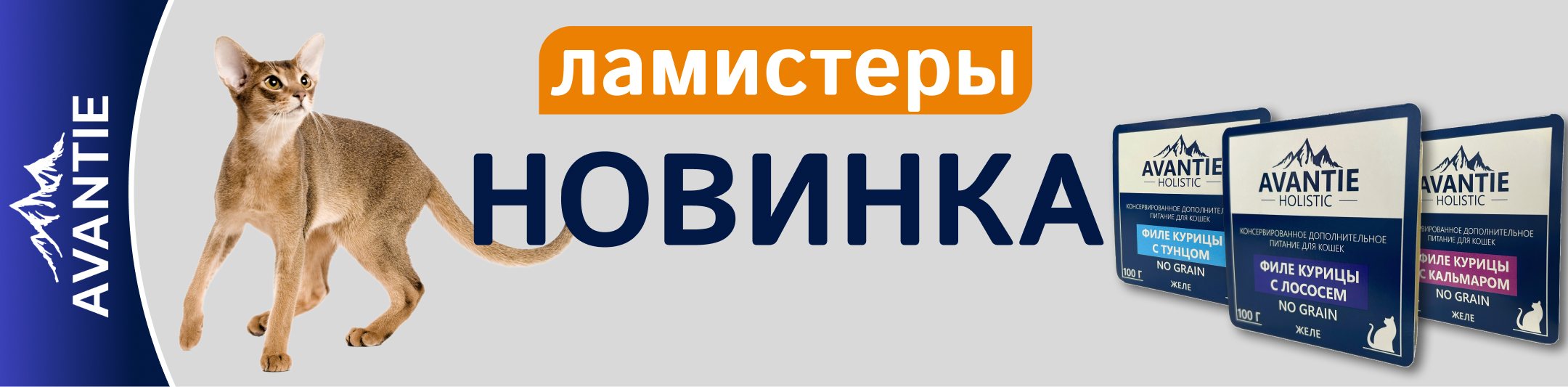 ламистеры аванти