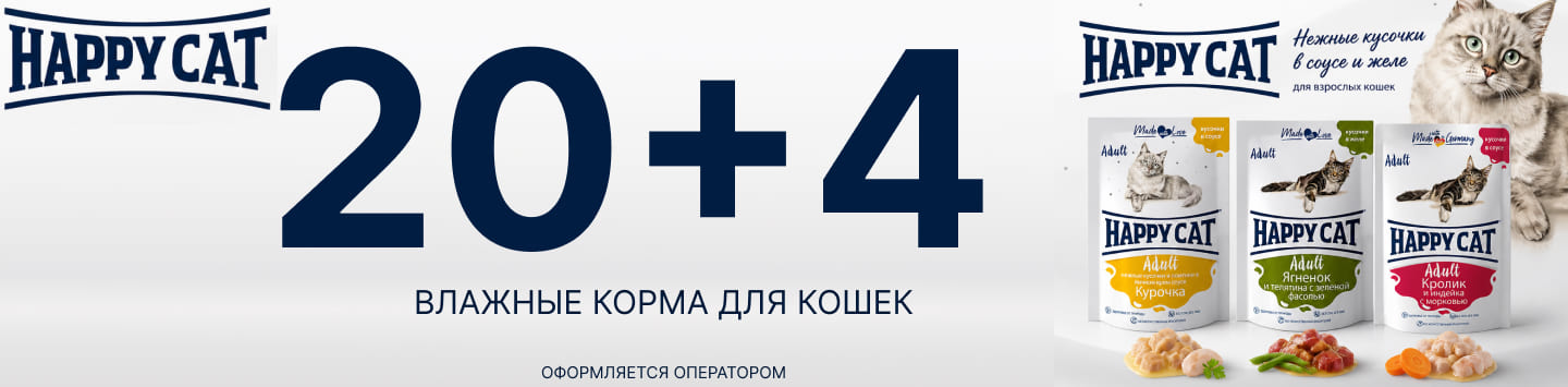 хэппи кэт 20+4