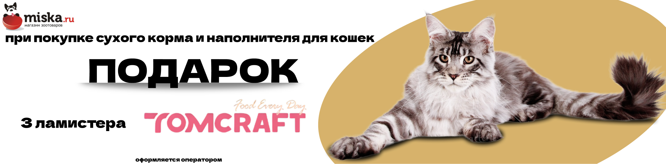 3 ламистера в подарок