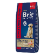 Brit