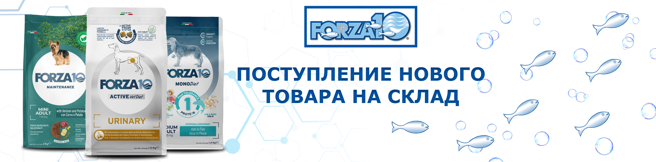Forza10