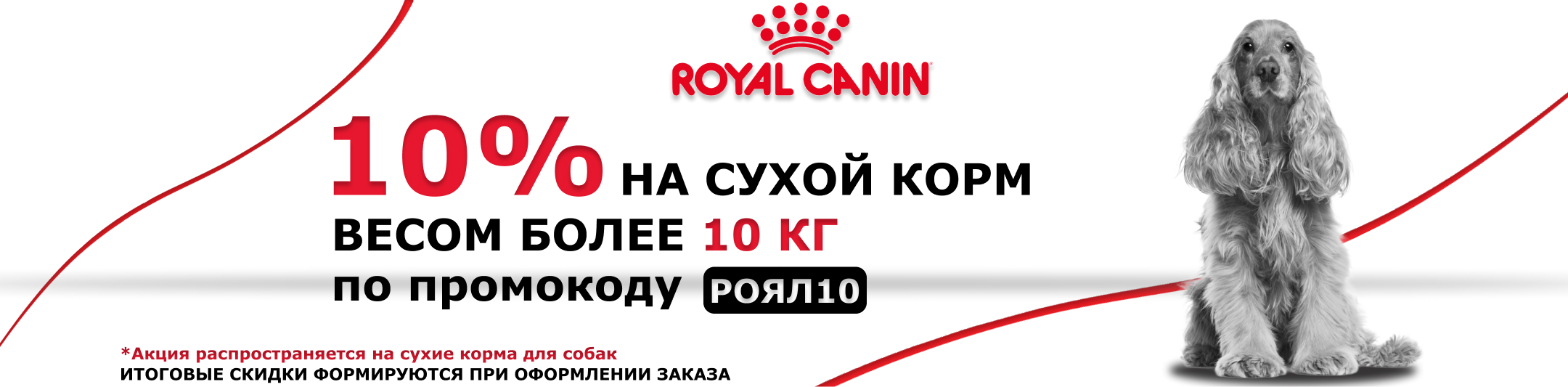 роял канин для собак 10%