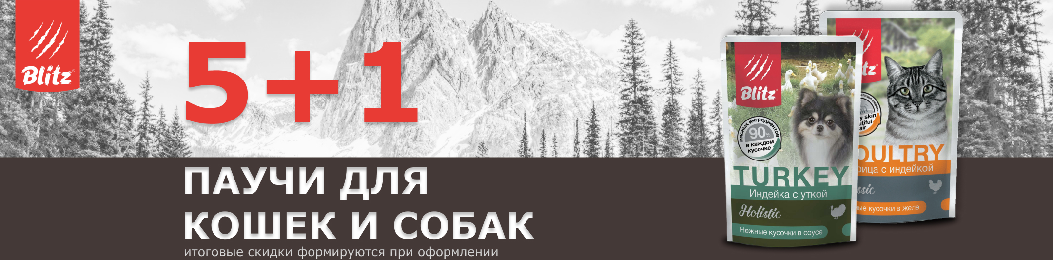блиц 5+1 паучи