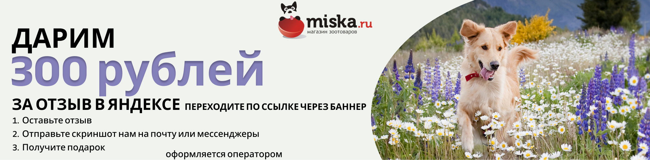 300р в подарок