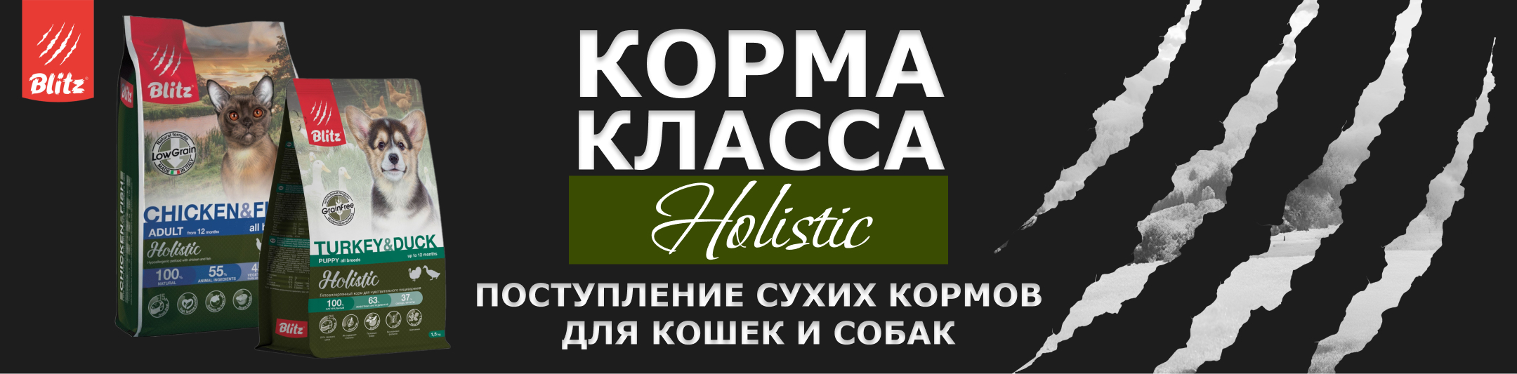 блиц