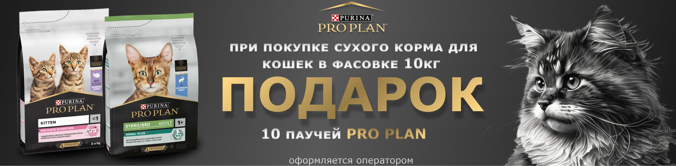проплан кошки подарок паучи