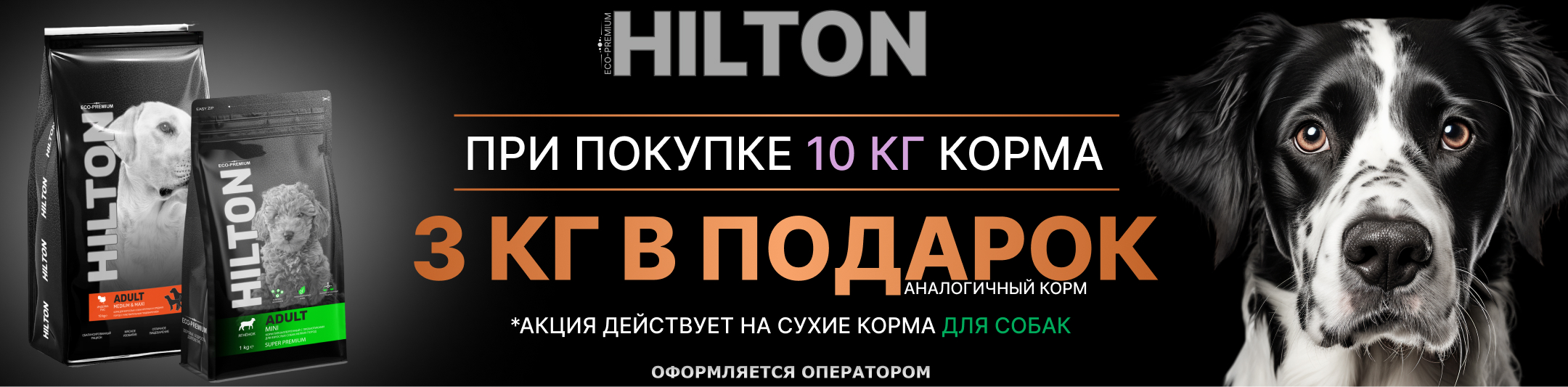 хилтон