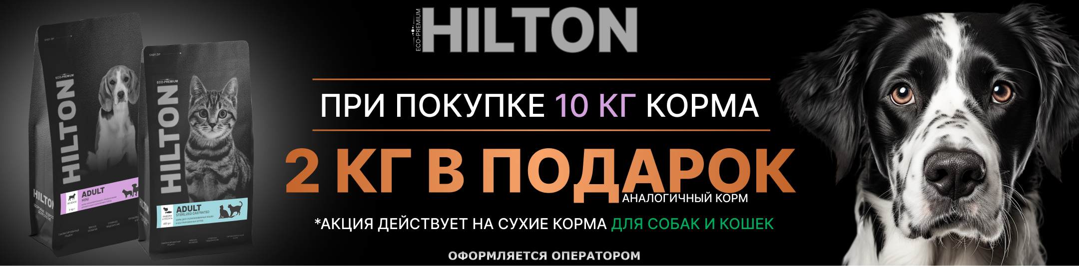 хилтон