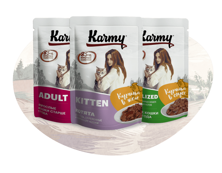 Новинка - паучи KARMY