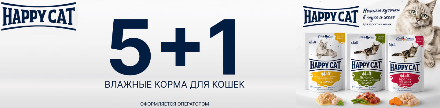 хэппи кэт 5+1