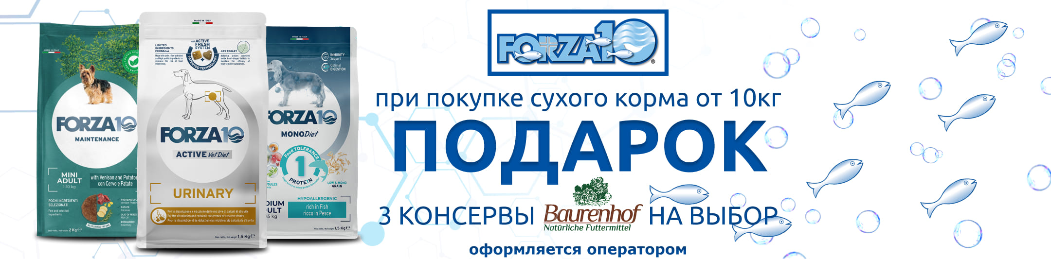 форза подарок бауренхоф