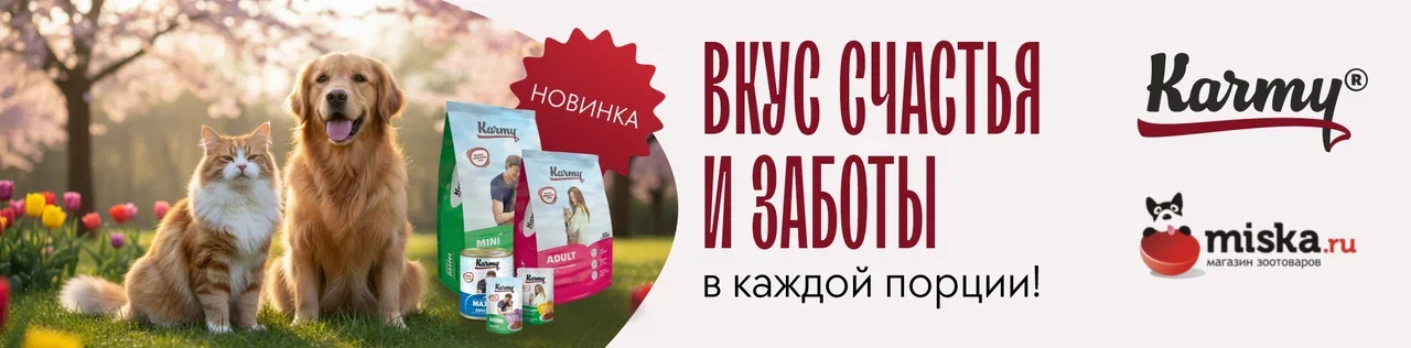 карми