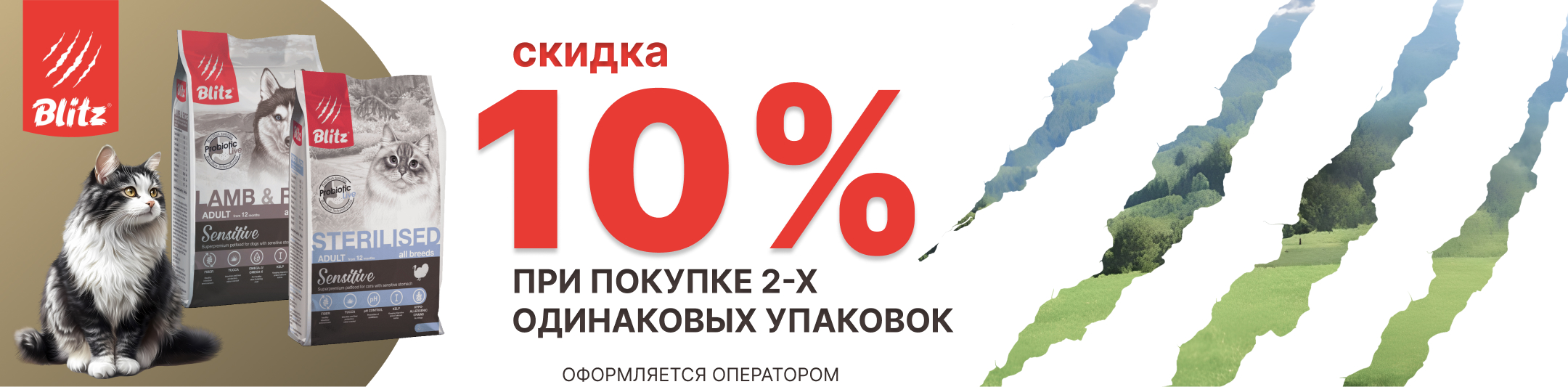 блиц 10% 