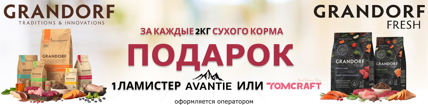 грандорф и фреш подарок