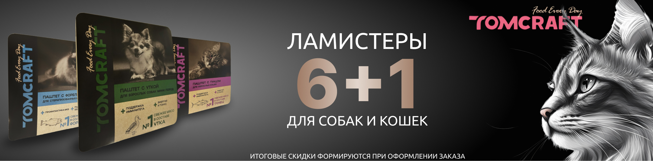 томкрафт 6+1