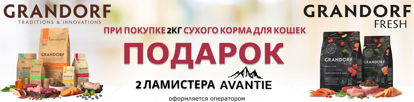 грандорф и фреш подарок