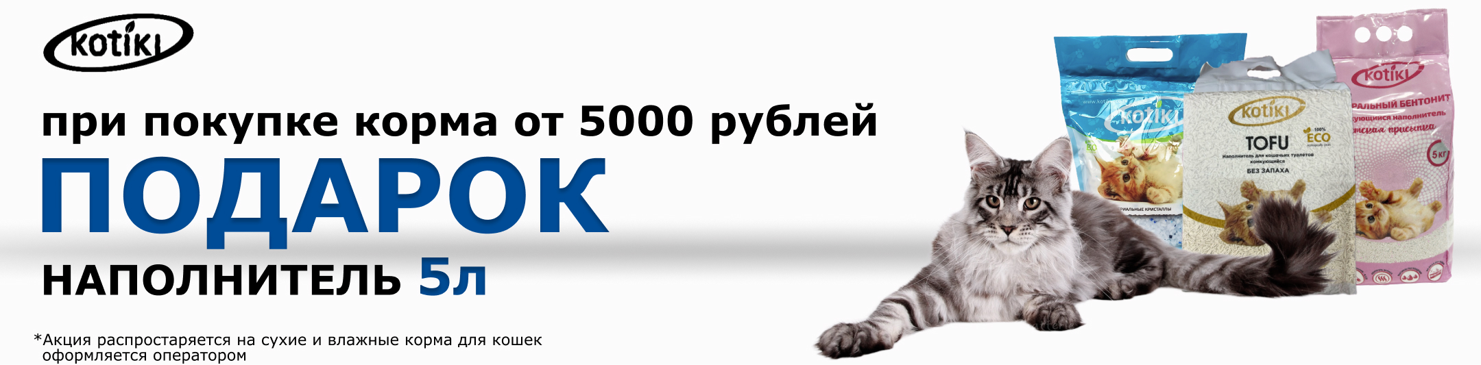 подарок наполнитель котики