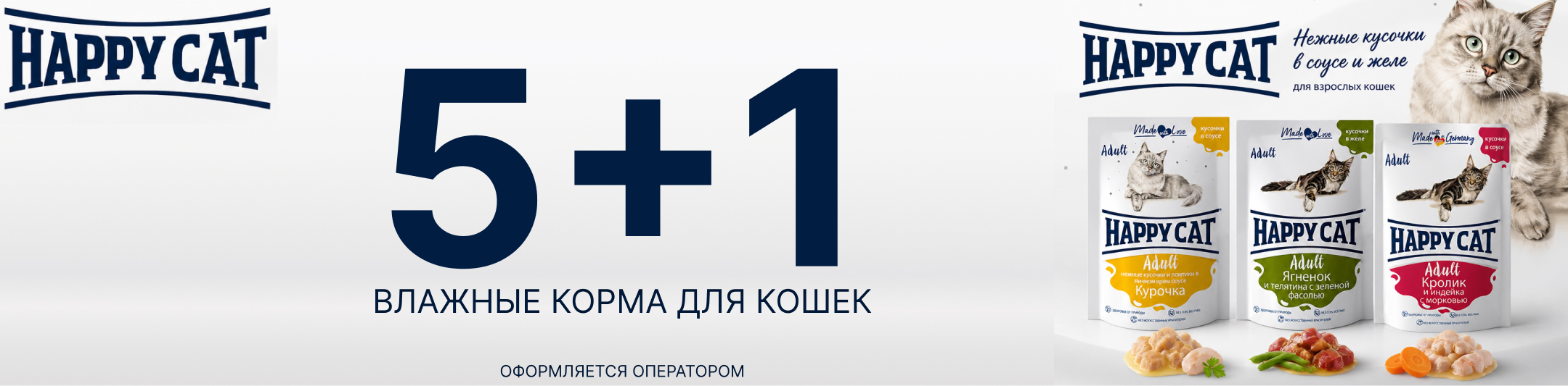 хэппи кэт 5+1