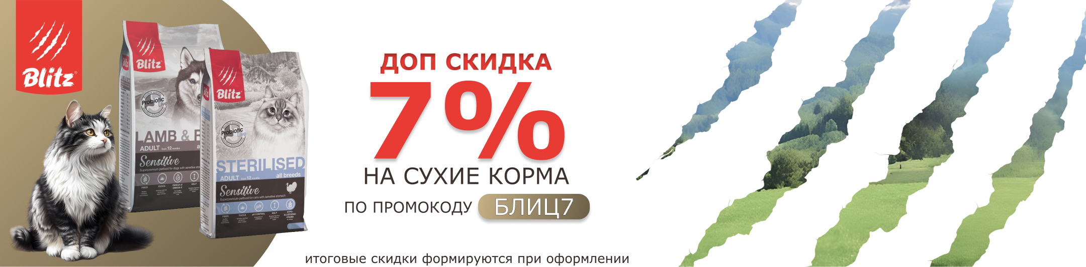 блиц сухой по промокоду 10%