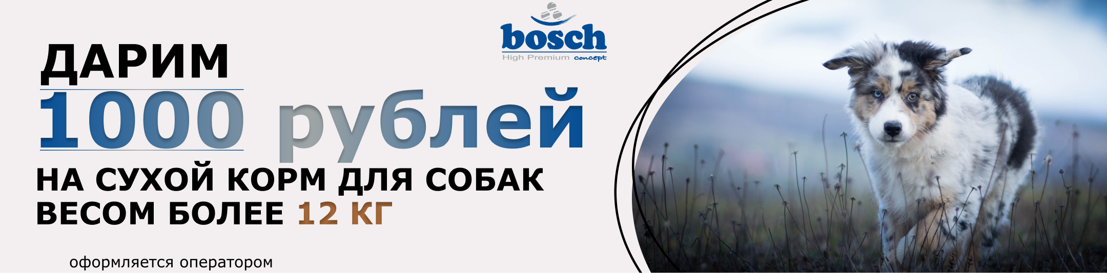 бош 1000р в подарок