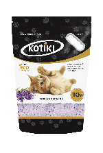 Kotiki