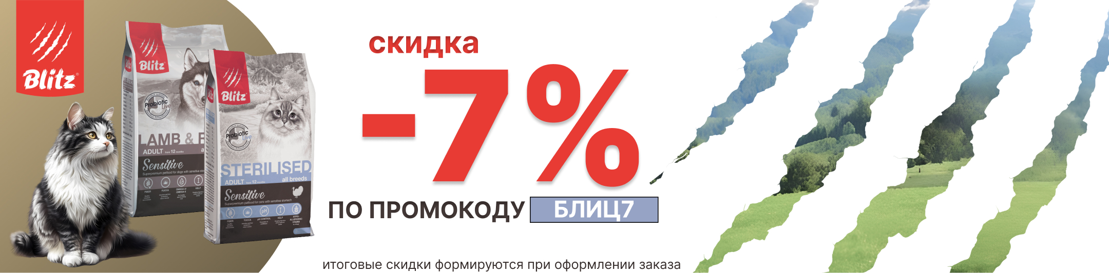 блиц 7% по промокоду