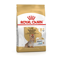 Royal Canin Yorkshire Terrier Adult 8+ Сухой корм для стареющих собак породы Йоркширский Терьер