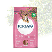 Forza10 Maintenance All Size Adult Сухой корм для взрослых собак всех пород, Свинина