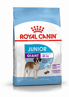 Royal Canin Giant Junior Сухой корм для щенков гигантских пород с 8 до 18/24 месяцев