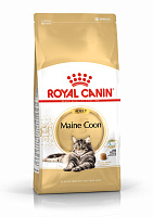 Royal Canin Maine Coon 31 Adult Сухой корм для кошек