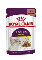Royal Canin Sensory Smell Влажный корм для взрослых кошек, стимулирующие обонятельные рецепторы, кусочки в соусе