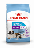 Royal Canin Giant Starter Сухой корм для щенков крупных пород до 2 месяцев, беременных и кормящих собак